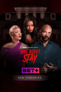 На одну ночь (2024)
